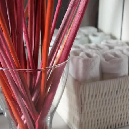 Bed and breakfast Lotus 5*