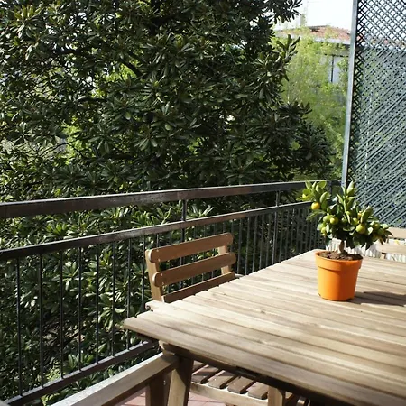 Bed and breakfast Lotus 5*